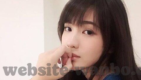 老版森林舞会游戏攻略-老版森林舞会游戏，策略与技巧的深度剖析